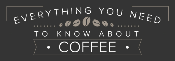 Everything You Need To Know About Coffee