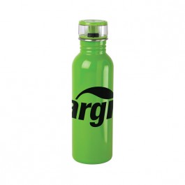 Green 25 oz Stainless Steel Flip Top Water Bottle