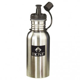 Silver 18 oz Stainless Steel Sports Bottle with Sports Cap