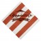 Big Stripes Mango Foil Stamped 3-Ply Pattern Luncheon Napkin