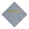 Powder Blue Foil Stamped 3 Ply Colored Luncheon Napkin