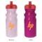 Frosted / Purple / Red 20 oz Sun Color Changing Cycle Bottle
